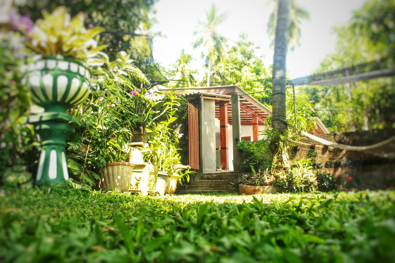 Hotel Tissamaharama Exterior foto